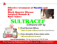 Sultracef
